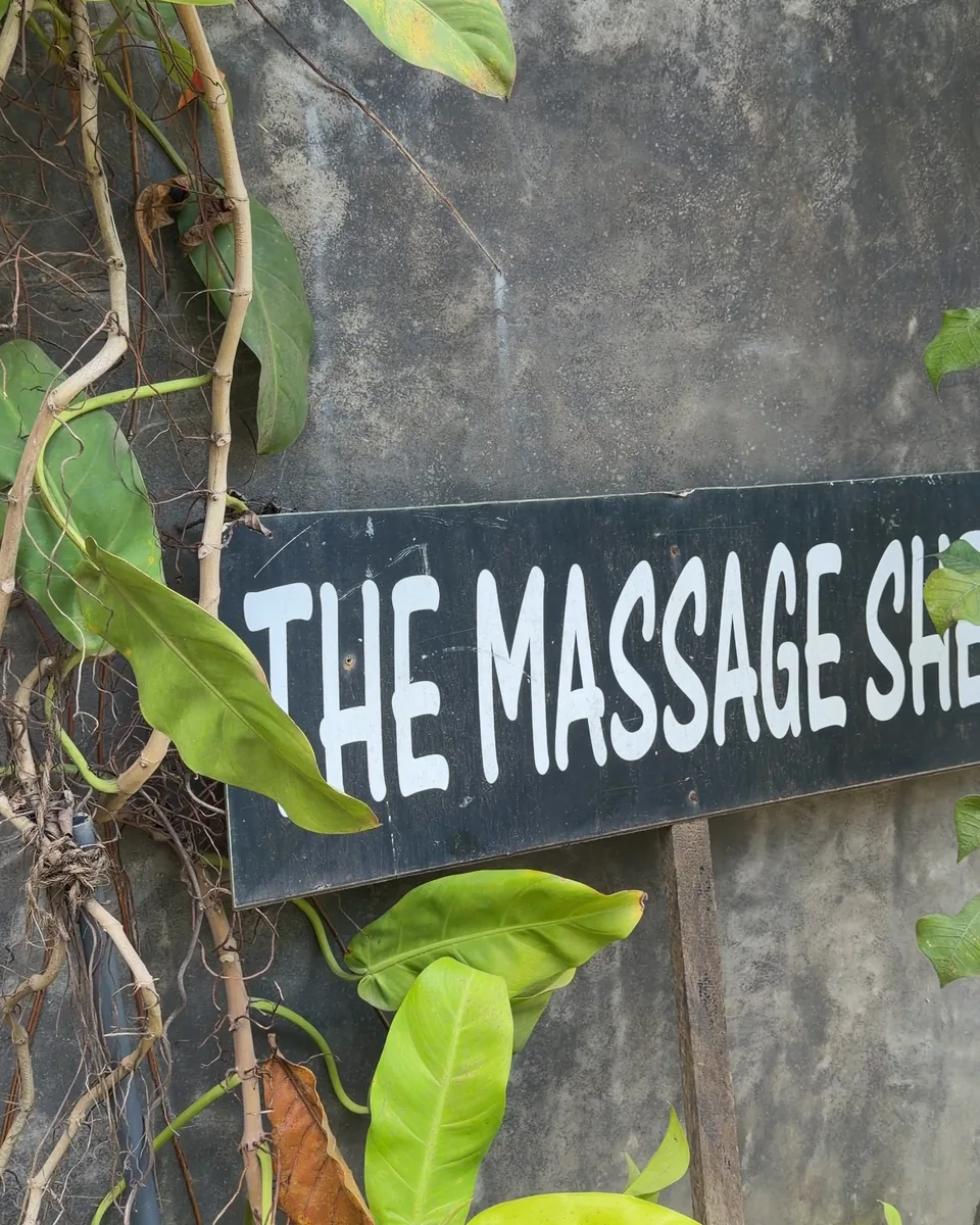 The Massage Shed sign on a wall among the leaves